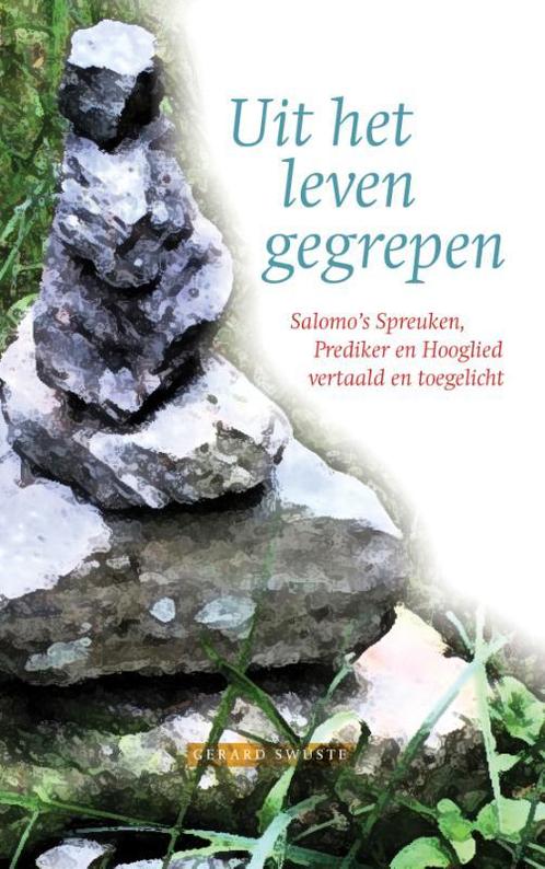 Uit het leven gegrepen 9789083041902 Gerard Swüste, Boeken, Godsdienst en Theologie, Zo goed als nieuw, Verzenden
