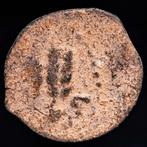 Judaea. Herod Agrippa I (AD 37-44). Prutah - Umbrella /