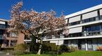 Irenelaan, 1 slaapkamer(s), Direct bij eigenaar, Groningen, Appartement