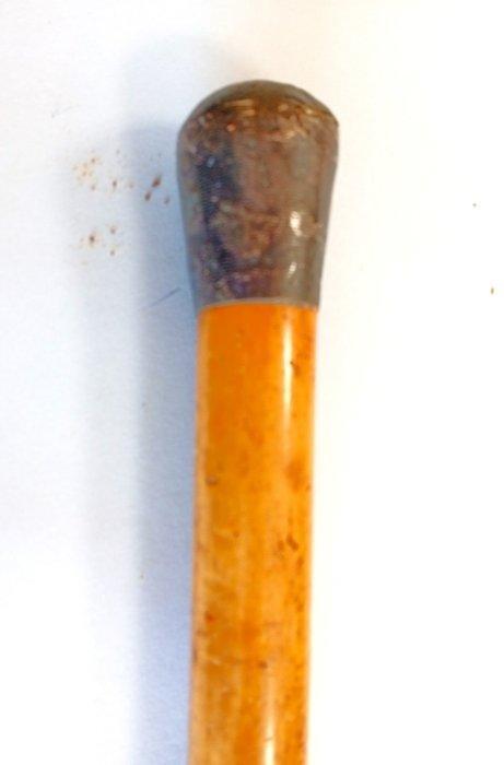 Wandelstok (5) - Been, Goud, Hout, Koper, Messing, Antiek en Kunst, Antiek | Overige Antiek