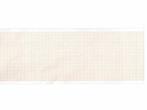 ECG papier - Contec 1200, 1201, 1212G - 210 mm x 30 mtr - 5, Diversen, Verzenden, Nieuw
