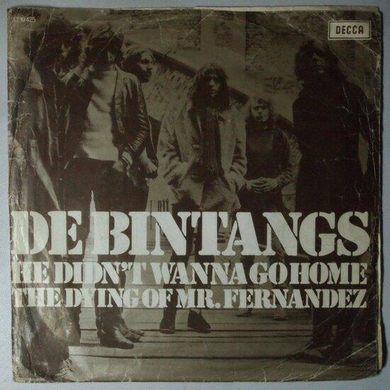 Bintangs - He Didnt Wanna Go Home / The Dying Of Mr. Fer..., Cd's en Dvd's, Vinyl Singles, Verzenden
