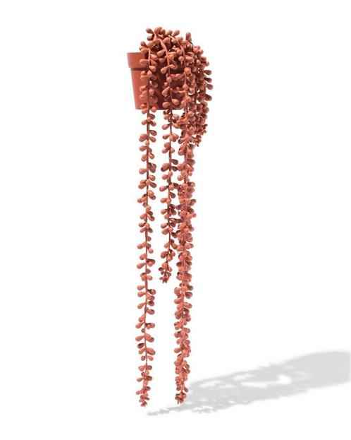HEMA Kunst erwtenplant terra, Huis en Inrichting, Kamerplanten, Verzenden