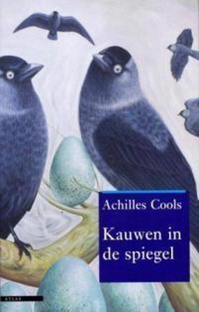Kauwen in de spiegel 9789045010465 A. Cools, Boeken, Romans, Zo goed als nieuw, Verzenden