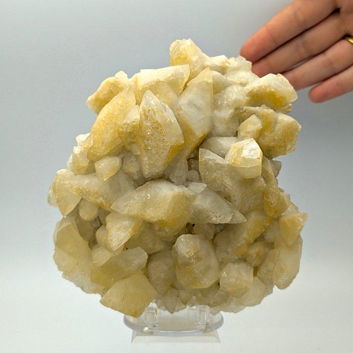 Grote GELE CALCIT, bifrontale en gespiegelde kristallen,, Verzamelen, Mineralen en Fossielen