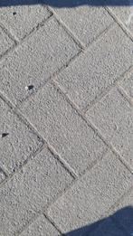 1800 m2 Betonklinkers | BKK | Heide | Zwart | VSB | Actie, Gebruikt, Beton, Klinkers