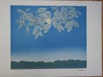 René Magritte (1898-1967) - La page blanche