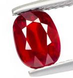 Zonder Minimumprijs Robijn - 1.42 ct - Bellerophon Gemlab -, Nieuw