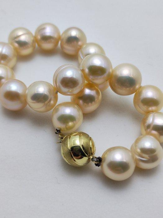 Zonder Minimumprijs - Kralenarmband - 14 karaat Geel goud, Sieraden, Tassen en Uiterlijk, Antieke sieraden