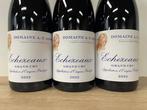 2022 Domaine A.F. Gros, Echezeaux - Bourgogne Grand Cru - 3, Nieuw
