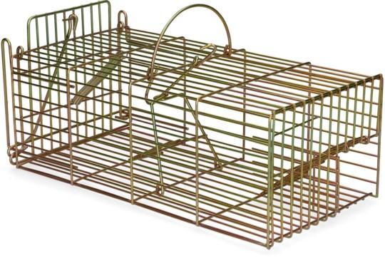 Inloopval rat levend massa, Zakelijke goederen, Agrarisch | Werktuigen, Ophalen of Verzenden