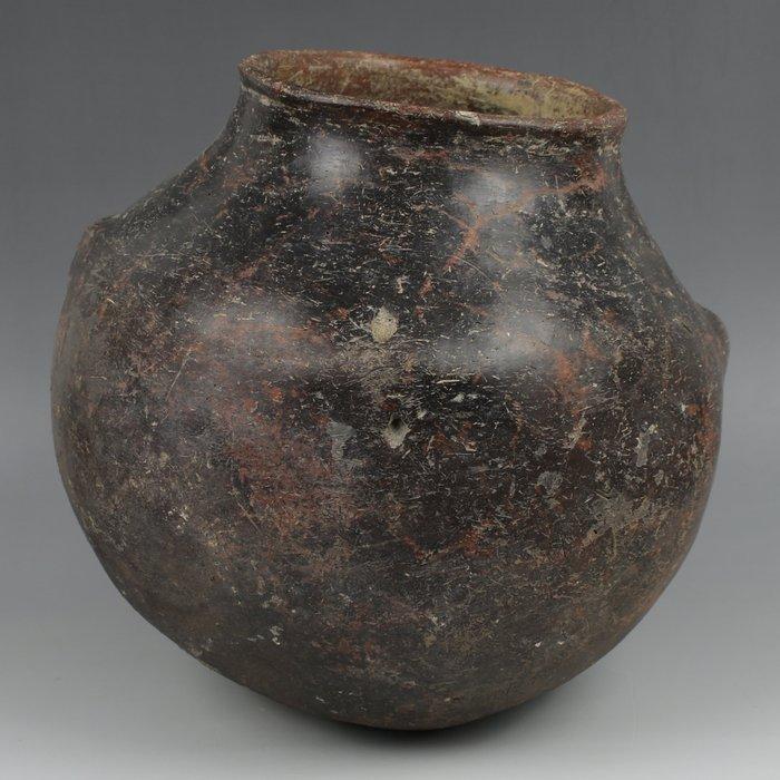 Bronstijd, West-Aziatisch Aardewerk GIGANTISCHE pot, Verzamelen, Mineralen en Fossielen