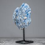 Zeer zeldzaam natuurlijk kyaniet kristalcluster op, Antiek en Kunst