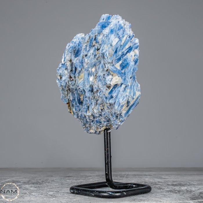 Zeer zeldzaam natuurlijk kyaniet kristalcluster op, Antiek en Kunst, Curiosa en Brocante