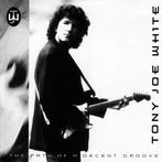 cd - Tony Joe White - The Path Of A Decent Groove, Cd's en Dvd's, Verzenden, Zo goed als nieuw