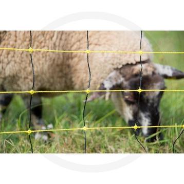 Horizont schapennet horinetz high energy met dubbele punt... beschikbaar voor biedingen