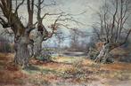 British school (XX) - A woodland landscape, Antiek en Kunst, Kunst | Schilderijen | Klassiek