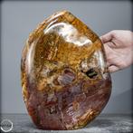 Natuurlijke Grote Versteende Hout Vrije vorm- 8280.41 g