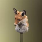 Vos Taxidermie Opgezette Dieren By Max, Verzamelen, Dierenverzamelingen, Ophalen of Verzenden, Nieuw, Wild dier, Opgezet dier