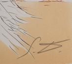 Salvador Dali (1904-1989) - Désert fabuleux : Vierge à la, Antiek en Kunst