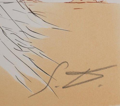Salvador Dali (1904-1989) - Désert fabuleux : Vierge à la, Antiek en Kunst, Antiek | Overige Antiek