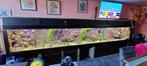 12 volt aquariumverlichting van Buyatjohn, Ophalen of Verzenden, Nieuw, Verlichting of Verwarming