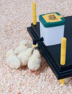 Kuikendrinkfles met klapdeksel 0.5 liter, Dieren en Toebehoren, Ophalen of Verzenden, Nieuw