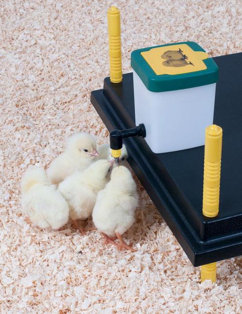 Kuikendrinkfles met klapdeksel 0.5 liter, Dieren en Toebehoren, Vogels | Hokken en Kooien, Nieuw, Ophalen of Verzenden
