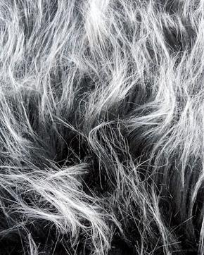 Imitatie Bont Langharig Black Frost, Hobby en Vrije tijd, Stoffen en Lappen, Zwart, Nieuw