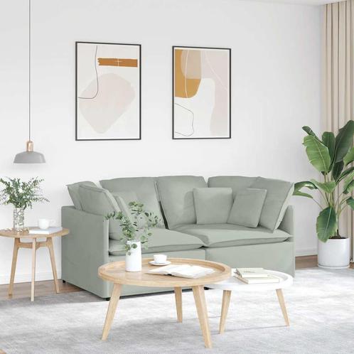 vidaXL Modulaire bank met kussens fluweel lichtgrijs, Huis en Inrichting, Banken | Bankstellen, Nieuw, Stof, Verzenden