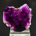 Esthetiek FLUORITE VIOLA, Geesten, VS Kristallen op matrix -