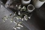 Brynxz Potentilla white 102 cm, Huis en Inrichting, Ophalen of Verzenden, Nieuw
