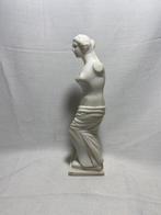 sculptuur, Venere di Milo - 24,5 cm - Carrara marmer