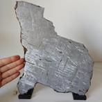 XL Museum ALETAI METEORITE (China, 1898) Widmanstätten