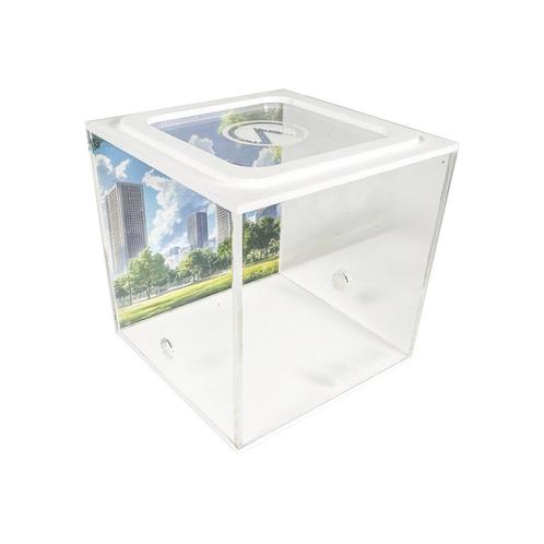 City Square (Arena 15x15x15), Dieren en Toebehoren, Insecten en Spinnen