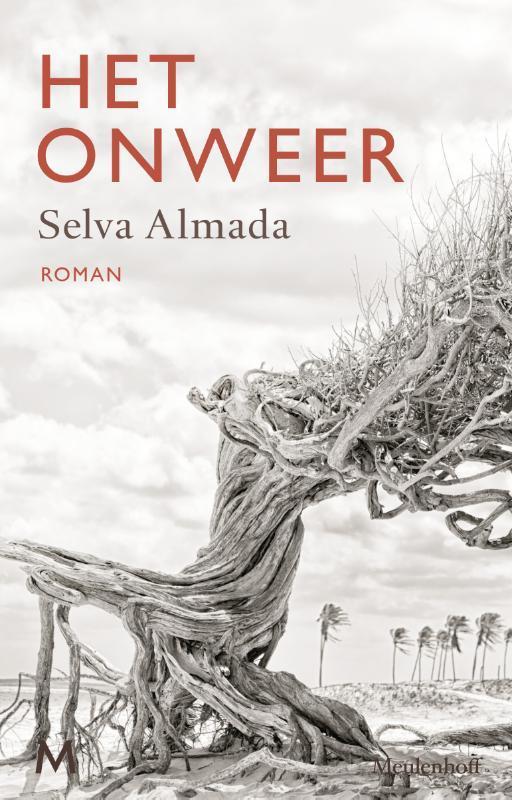 Het onweer 9789029089951 Selva Almada, Boeken, Romans, Gelezen, Verzenden