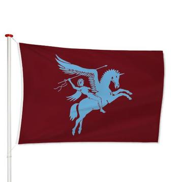 Airborne Vlag Maat: 40x60cm beschikbaar voor biedingen