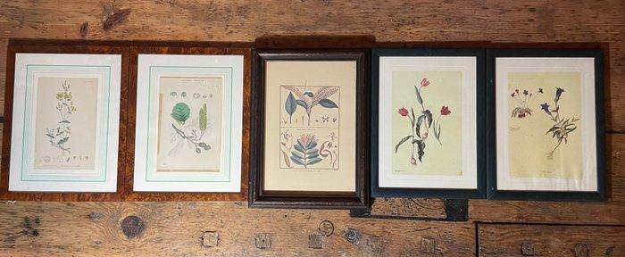 Lesmateriaal (5) - Papier, Hout, Glas - 1940-1950 -, Antiek en Kunst, Curiosa en Brocante