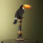 Toekan Taxidermie volledige montage - Ramphastos toco - 56, Nieuw