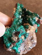 Belle DIOPTASE, geode. zeer glanzende smaragdgroene