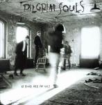 LP gebruikt - Pilgrim Souls - Is This All Of Us?, Zo goed als nieuw, Verzenden