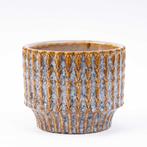 Set van 2 - Kerstboom Ellwoodii + Pot Echo + 20 led lampen, Tuin en Terras, Verzenden