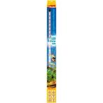 LED daylight sunrise 660 mm / 14,9 W - Sera, Dieren en Toebehoren, Vissen | Aquaria en Toebehoren, Verzenden, Nieuw