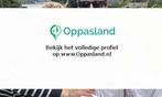 Jantien zoekt een oppas in Oegstgeest voor 3 kinderen., Boeken, Nieuw
