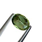 1 pcs Groen Toermalijn - 2.08 ct - International Gemological, Sieraden, Tassen en Uiterlijk, Edelstenen, Nieuw