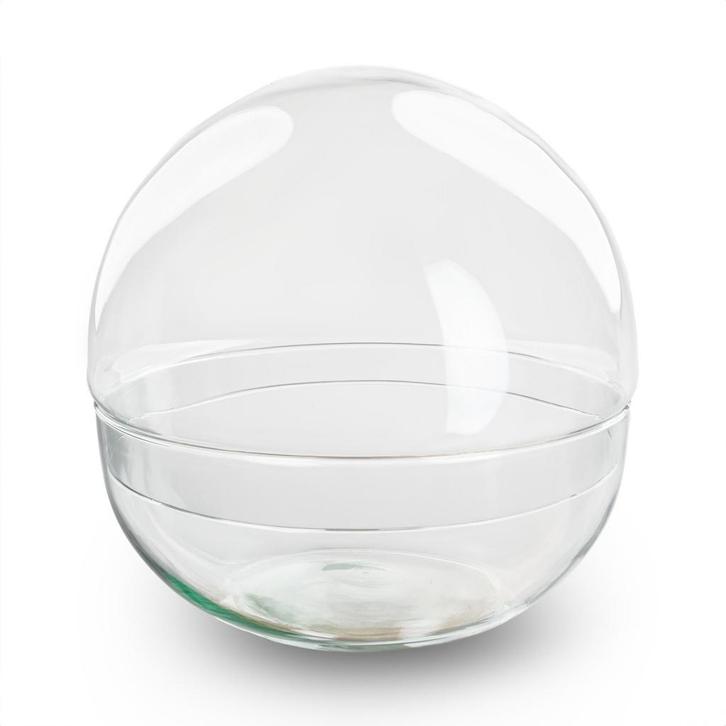 Terrarium bolglas tweedelig - Dome - Ø 20 cm  20 cm, Tuin en Terras, Bloembollen en Zaden, Verzenden