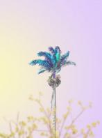 Téber - Aquamint Palm · No Reserve