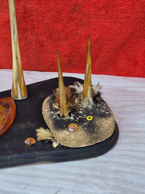 Marlijn - Espadon en anderen Rostrum - Makaira nigricans -, Verzamelen, Dierenverzamelingen