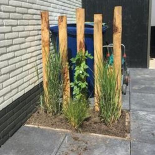 Kastanje Paal - 150 tot 300 cm - 200 cm, Tuin en Terras, Overige Tuin en Terras, Ophalen of Verzenden