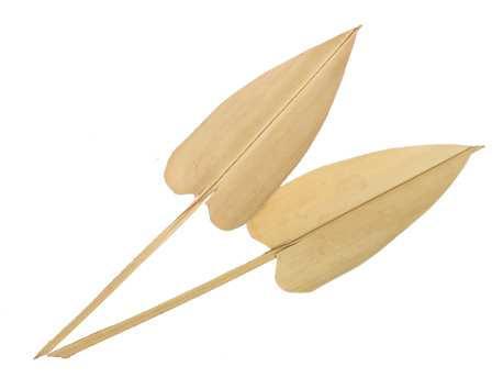Actie Palm Arrow 25- Natural Palm blad, Hobby en Vrije tijd, Knutselen, Nieuw, Ophalen of Verzenden